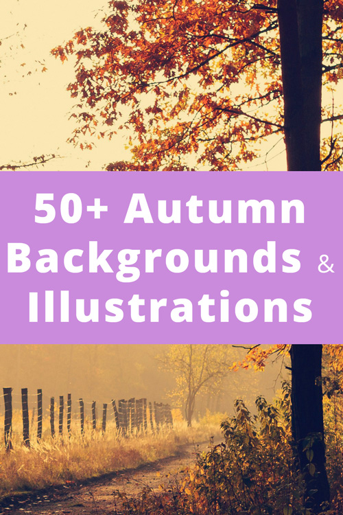 Stunning Autumn Background Illustrations