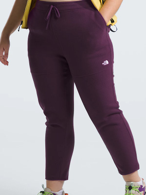 The North Face Womens Plus Alpine Polartec 100 Pants