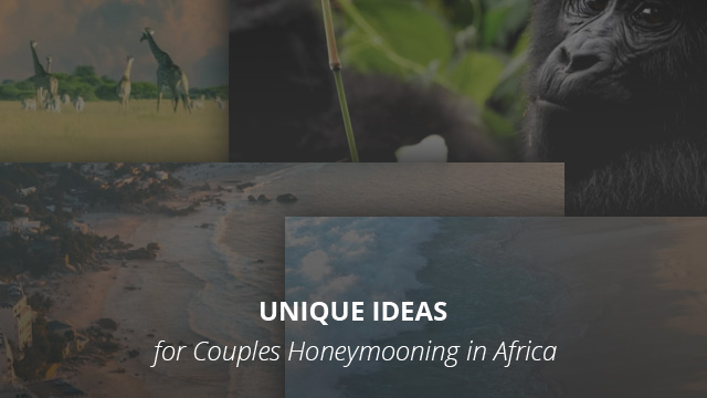 Unique Ideas for Couples Honeymooning in Africa