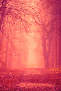 fantasy autumn background