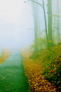 fantasy autumn background