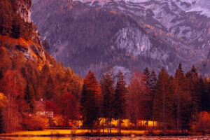 landscape autumn background