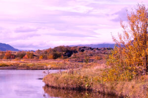 landscape autumn background