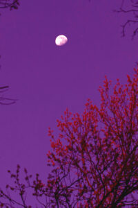 night autumn background