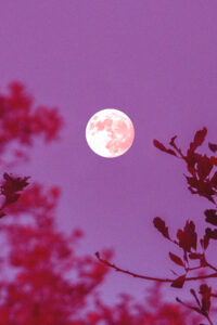 night autumn background