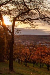 sunset autumn background