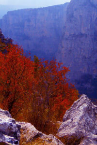 blue autumn mountain background idea
