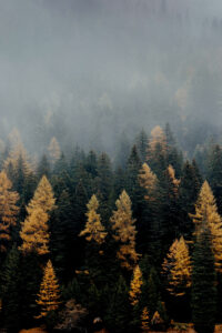 dark autumn mountain background idea