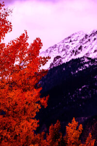 pink autumn mountain background idea