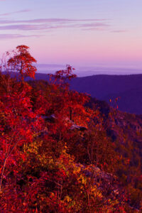 purple autumn mountain background idea