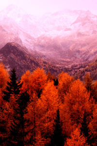 red autumn mountain background idea