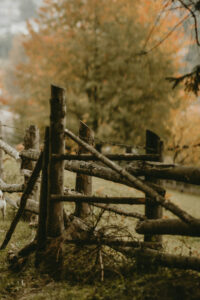 vintage autumn mountain background idea