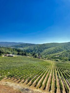 14 Tuscan Countryside Aesthetic Landscape, Vineyard