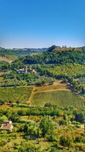 17 Tuscan Countryside Aesthetic Landscape, Green Fields Hills
