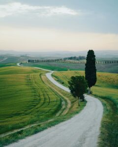 18 Tuscan Countryside Aesthetic Landscape, Green Fields Trees Hills
