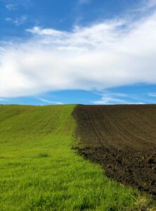 19 Tuscan Countryside Aesthetic Landscape, Green Field, Scansano, Italy
