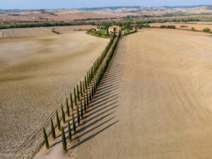 22 Tuscan Countryside Aesthetic Landscape, Castiglione d Orcia, Siena, Italy
