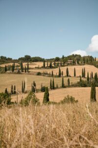 27 Tuscan Countryside Aesthetic Landscape, Cypress Fields in Val d Orcia