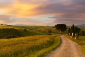3 Tuscan Countryside Aesthetic Landscape road San Quirico d’Orcia, Italy