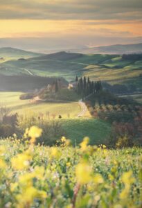 5 Tuscan Countryside Aesthetic Landscape green fields San Quirico d’Orcia, Italy