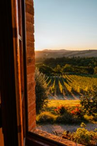 6 Tuscan Countryside Aesthetic Landscape Asciano, Tuscany