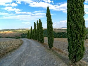 9 Tuscan Countryside Aesthetic Landscape, Chapel Vitaleta, San Quirico d’Orcia, Siena, Italy