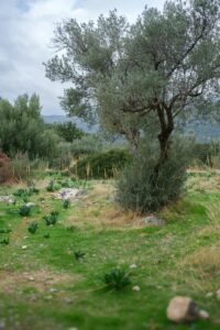 11 Mediterranean Garden Landscape Aesthetic, Andifli, Kaş Antalya, Turkey