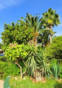 12 Mediterranean Garden Landscape Aesthetic, Taroudant, Morocco