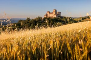 12. Torrechiara Castle (Torrechiara, Parma, Emilia Romagna), Italy 3