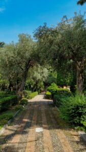 13 Mediterranean Garden Landscape Aesthetic, Taormina, Messina, Italy