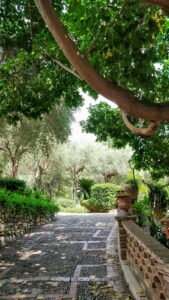 14 Mediterranean Garden Landscape Aesthetic, Taormina, Messina, Italy