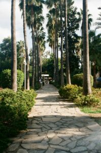15 Mediterranean Garden Landscape Aesthetic, Alanya, Antalya, Turkey