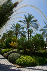 17 Mediterranean Garden Landscape Aesthetic, Valencia, Spain