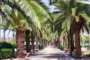 18 Mediterranean Garden Landscape Aesthetic, Valencia, Spain