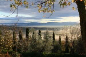 19 Mediterranean Garden Landscape Aesthetic, Tuscany, Italy