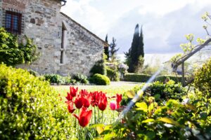 20 Mediterranean Garden Landscape Aesthetic, Tuscany, Italy