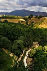 20 Spanish Countryside Aesthetic Landscape, Ronda, Malaga, Andalusia, Spain
