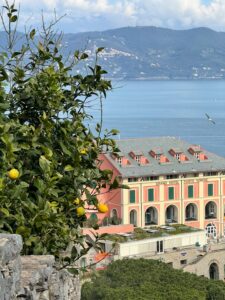 23 Mediterranean Garden Landscape Aesthetic, Lemon Tree, Porto Venere, Spezia, Italy