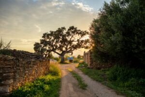 25 Spanish Countryside Aesthetic Landscape, Vilafamés, Spain