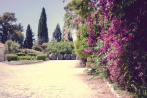 29 Mediterranean Garden Landscape Aesthetic, Achaia Clauss – Patras, Peloponnese, Greece