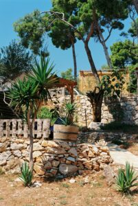 31 Mediterranean Garden Landscape Aesthetic, Hvar, Croatia