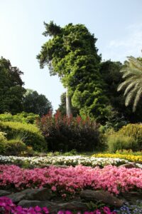 10 Spring Flower Garden Wallpaper Inspiration Idea