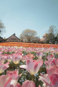 11 Spring Flower Garden Wallpaper Inspiration Idea