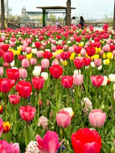 12 Spring Flower Garden Wallpaper Inspiration Idea