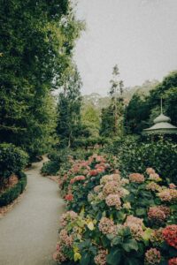 15 Spring Flower Garden Wallpaper Inspiration Idea