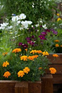 17 Spring Flower Garden Wallpaper Inspiration Idea