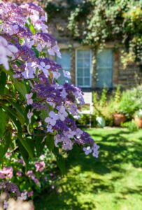 19 Spring Flower Garden Wallpaper Inspiration Idea