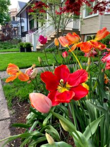 21 Spring Flower Garden Wallpaper Inspiration Idea
