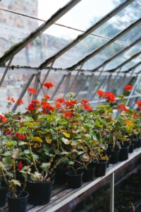 4 Spring Flower Garden Wallpaper Inspiration Idea