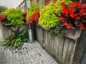 5 Spring Flower Garden Wallpaper Inspiration Idea